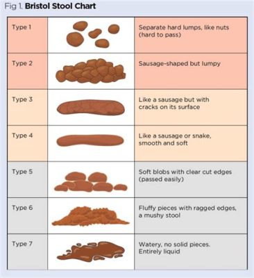 what is the average composition of fecal waste material? How does diet and lifestyle affect the composition of human feces?